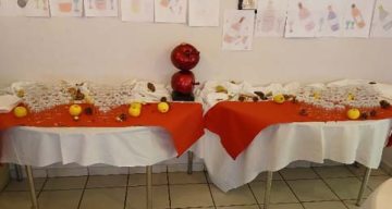 emeis croix rousse novembre