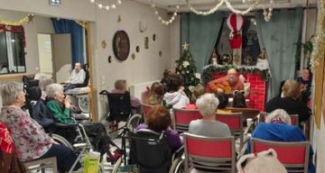 emeis saint andre arbre emeis saint andre arbre