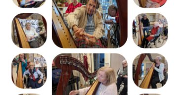 l'oasis harpe