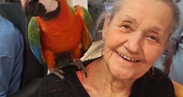 emeis les dornets spectacle