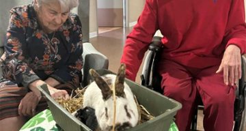 la pastorale animale