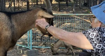 la pastorale zoo