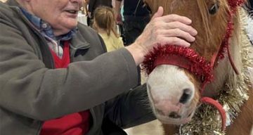 emeis pastorale noel