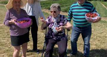 les jardins de romilly sortie