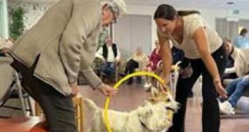 emeis jardins de romilly activites