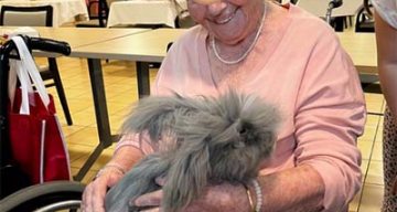 emeis residence de lisle mediation emeis residence de lisle mediation