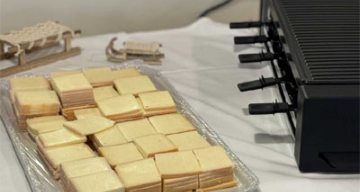 emeis residence de lisle raclette