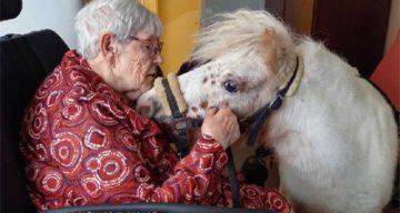 bellevue zootherapie