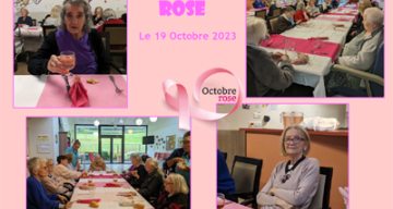 Montchenot rose