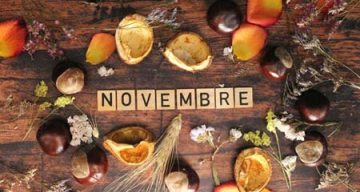 beausejour novembre 2024