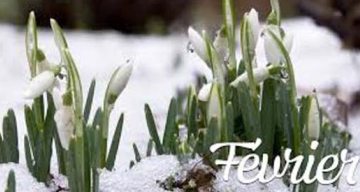 emeis beausejour fevrier