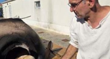 emeis beausejour gout emeis beausejour gout