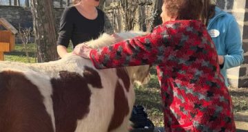 emeis lambene equitherapie