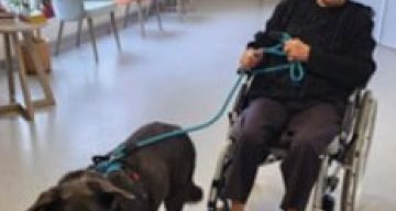 emeis les maraichers chien