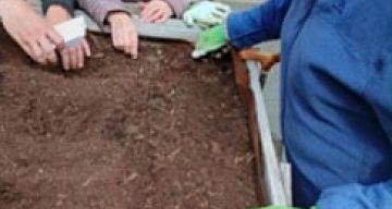 emeis les maraichers jardinage