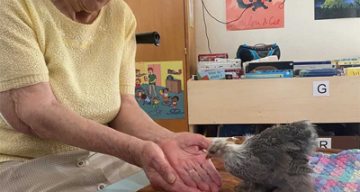 les cedres rencontre