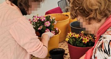 emeis diamantine jardinage