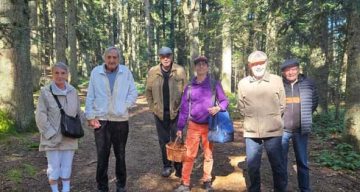 emeis lhermitage foret