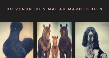 L'Emeraude expo