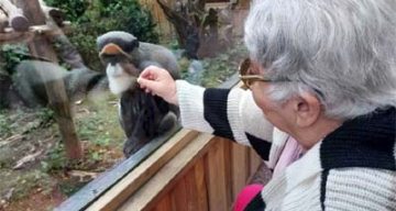 l'emeraude zoo