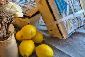 emeis claire fontaine huitres