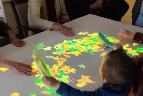 emeis amaltides tover