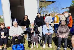 emeis amaltides tulipes