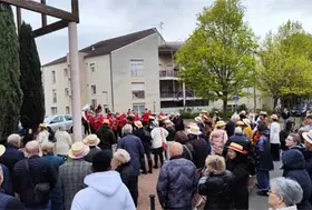 emeis amaltides vague