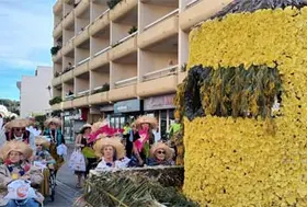 emeis bois joli corso