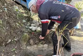 emeis maison bleue deco