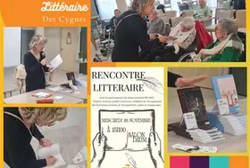 emeis cygnes rencontre