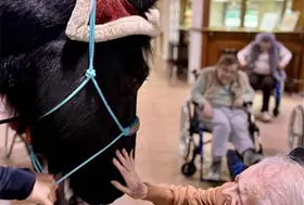 emeis jardins jeanne juments