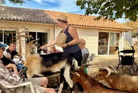 emeis jardins camille sortie