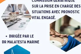 emeis assomption commission