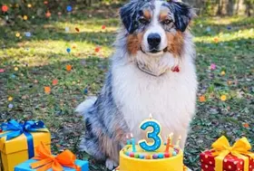 emeis jardins de grasse anniv