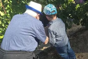 emeis carmableu vendanges