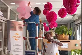 emeis balbigny rose