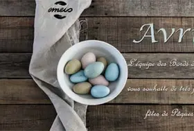 emeis bords seine avril