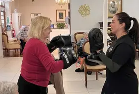 emeis chateau villeniard boxe