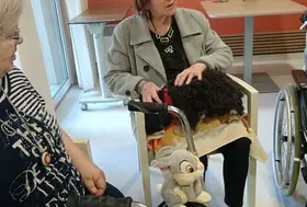 emeis jardins charlotte mediation