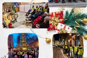 emeis chardons bleus illuminations