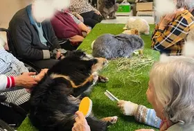 emeis cheneraie mediation