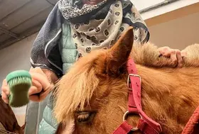 emeis vignes suresnes mars