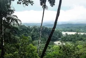 emeis les rives saint nicolas amazonie