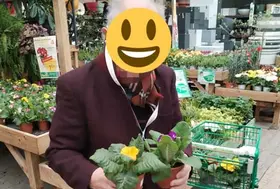 emeis jardins escudie jardin