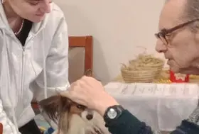 emeis senatorerie mars