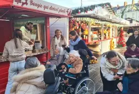 emeis ile de nantes noel