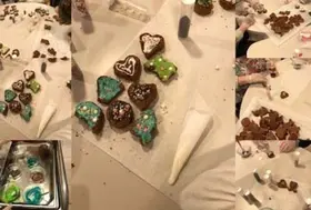 emeis la saule hiver