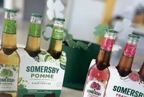 emeis fables patrick