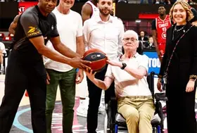 emeis vignes basket